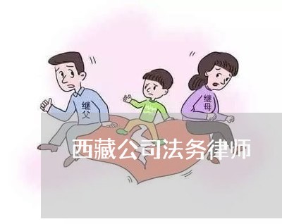 西藏公司法务律师 西藏公司法务律师