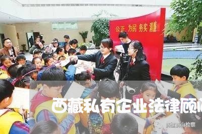 西藏私有企业法律顾问/2023061839280