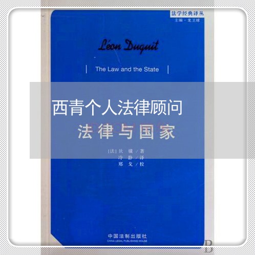 西青个人法律顾问/2023061771704 西青个人法律顾问/2023061771704
