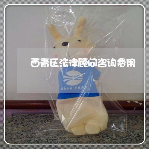 西青区法律顾问咨询费用/2023061951382