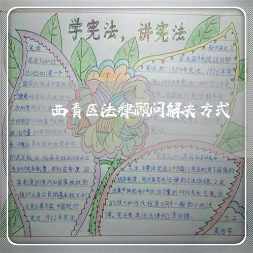 西青区法律顾问解决方式/2023061960491