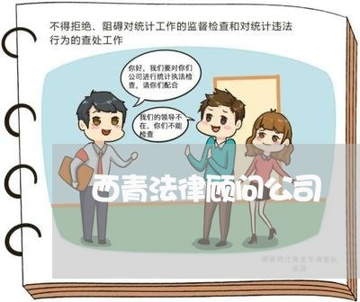 西青法律顾问公司/2023061764948 西青法律顾问公司/2023061764948