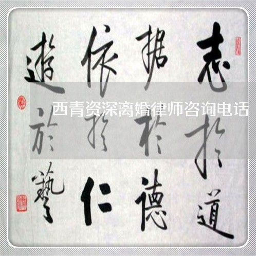 西青资深离婚律师咨询电话/2023061006937