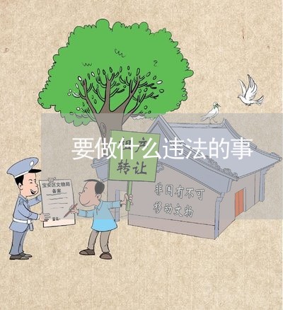 要做什么违法的事 要做什么违法的事
