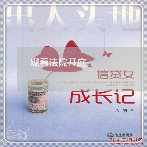 观看法院开庭