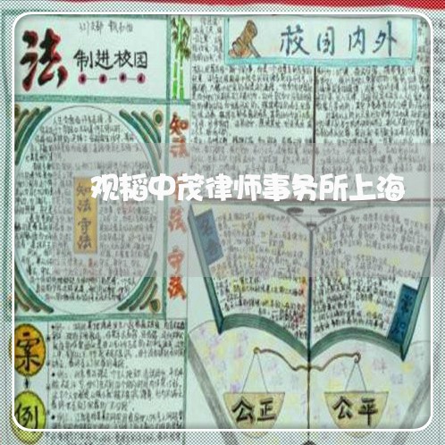观韬中茂律师事务所上海/2023021534060 观韬中茂律师事务所上海/2023021534060