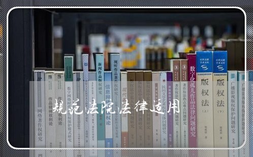 规范法院法律适用