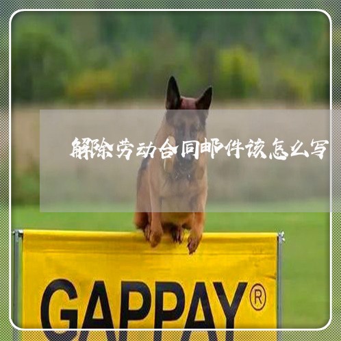 解除劳动合同邮件该怎么写/2023041469362 解除劳动合同邮件该怎么写/2023041469362