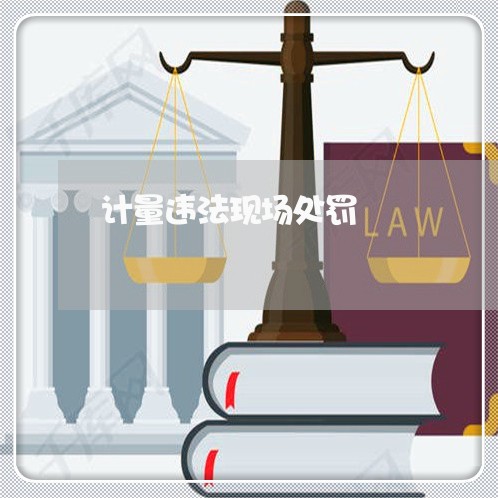 计量违法现场处罚 计量违法现场处罚