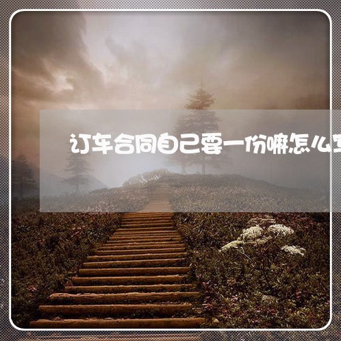 订车合同自己要一份嘛怎么写/2023061502927