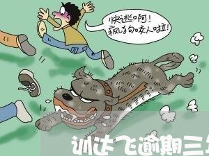 训达飞逾期三年未还会怎样 训达飞逾期三年未还会怎样