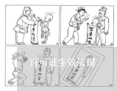 许可证生效法规