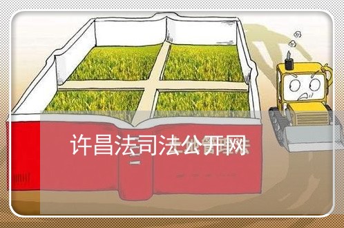 许昌法司法公开网 许昌法司法公开网