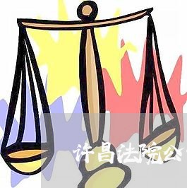 许昌法院公开网被执行人王金杰 许昌法院公开网被执行人王金杰