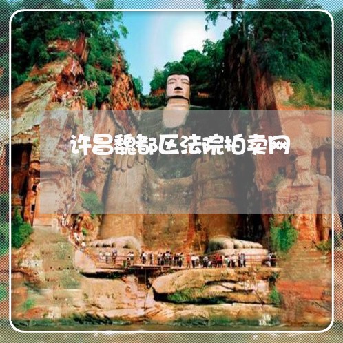 许昌魏都区法院拍卖网