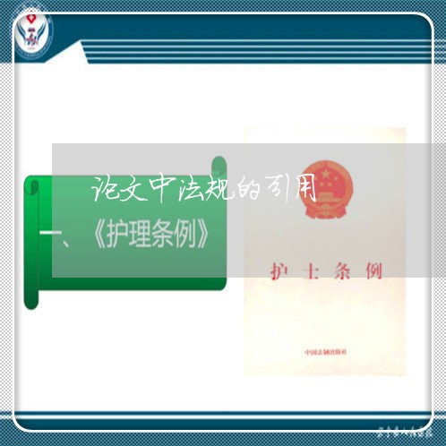 论文中法规的引用