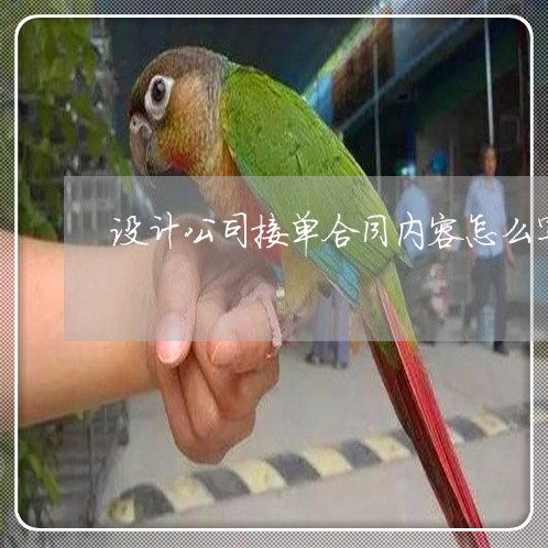 设计公司接单合同内容怎么写/2023022737281
