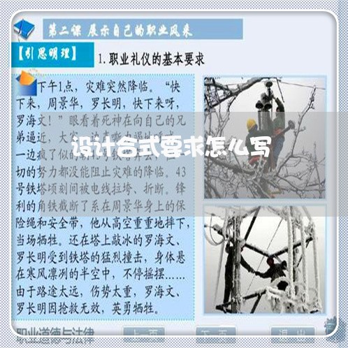 设计合式要求怎么写/2023011739371