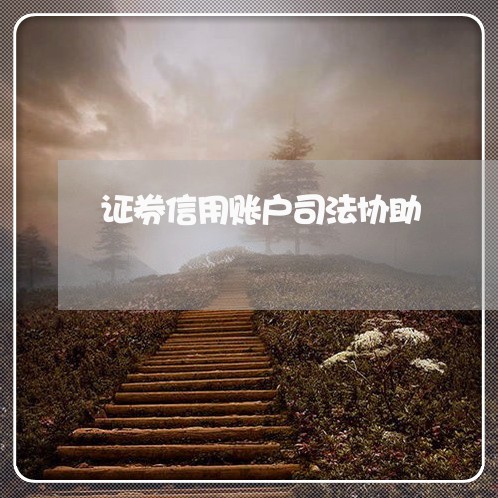 证券信用账户司法协助