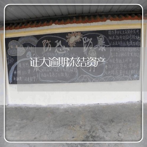 证大逾期冻结资产