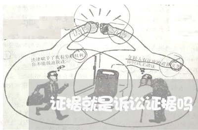 证据就是诉讼证据吗 证据就是诉讼证据吗