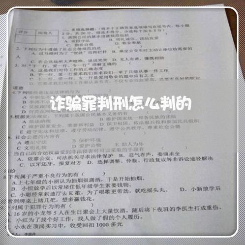 诈骗罪判刑怎么判的/2023042329489