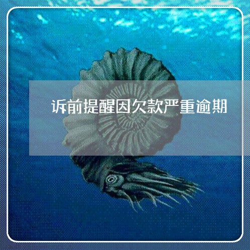 诉前提醒因欠款严重逾期