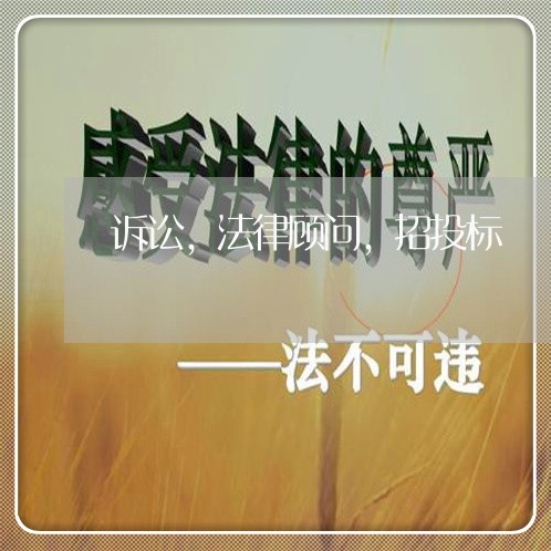 诉讼,法律顾问,招投标 诉讼,法律顾问,招投标