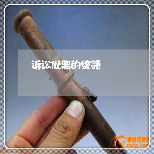 诉讼仳离的统领