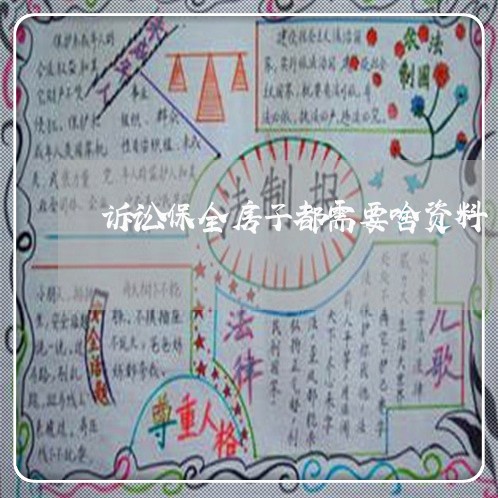 诉讼保全房子都需要啥资料