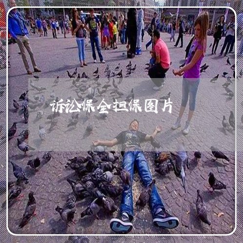 诉讼保全担保图片 诉讼保全担保图片