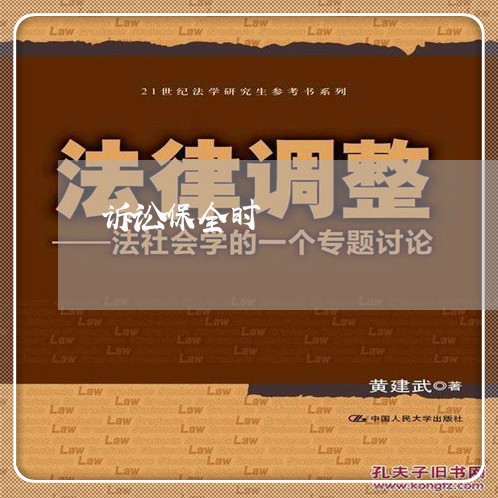 诉讼保全时