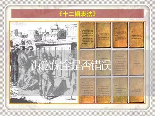 诉讼保全是否错误 诉讼保全是否错误