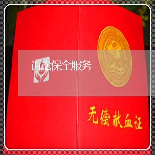 诉讼保全服务 诉讼保全服务