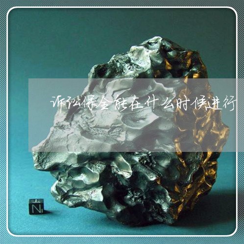 诉讼保全能在什么时候进行