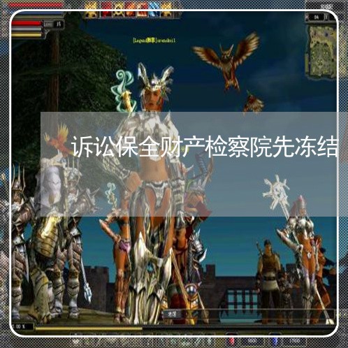 诉讼保全财产检察院先冻结