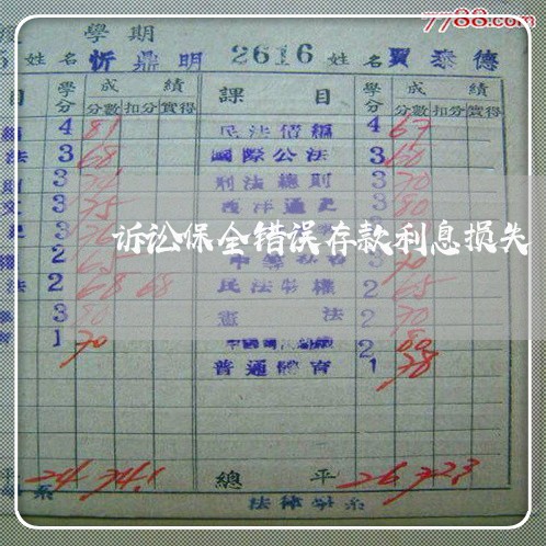 诉讼保全错误存款利息损失 诉讼保全错误存款利息损失