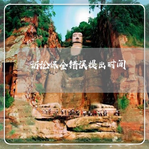 诉讼保全错误提出时间 诉讼保全错误提出时间