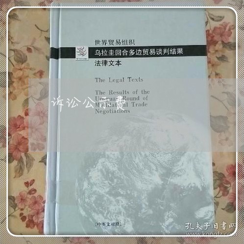 诉讼公示费 诉讼公示费