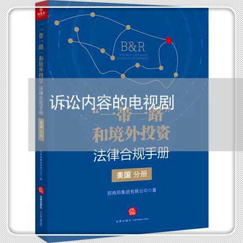 诉讼内容的电视剧