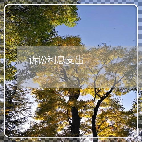 诉讼利息支出 诉讼利息支出