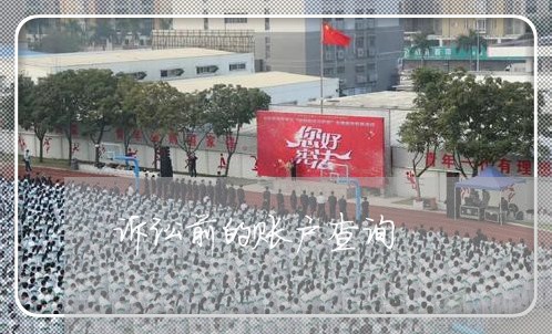 诉讼前的账户查询 诉讼前的账户查询