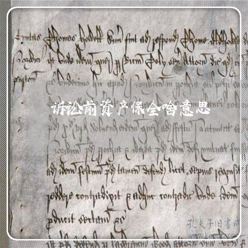 诉讼前资产保全啥意思 诉讼前资产保全啥意思