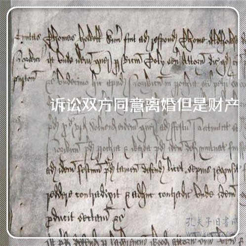 诉讼双方同意离婚但是财产
