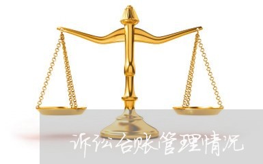 诉讼台账管理情况