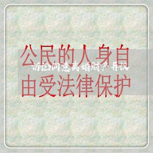 诉讼同意离婚财产异议