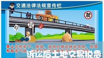 诉讼后土地交易税费 诉讼后土地交易税费