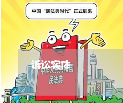 诉讼实体