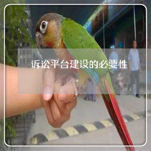 诉讼平台建设的必要性