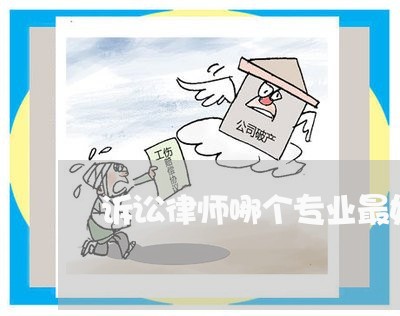 诉讼律师哪个专业最好找 诉讼律师哪个专业最好找